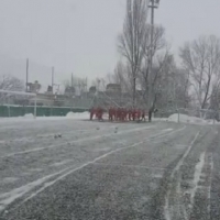 ЦСКА тренира по план, не наказателно