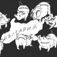 27 ноември
