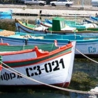 Проспорт.бг издирва жена от Созопол, иска да я награди вместо ЦСКА 