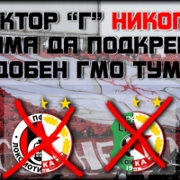 Сектор "Г": Твърдо против създаването на тумор с името на нашия клуб