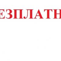 Децата до 12 г. безплатно на ЦСКА-Конеляно